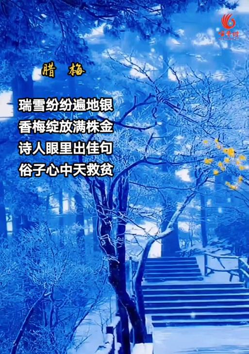岩蔷薇花语及其深刻意义（揭示岩蔷薇的花语以及其象征意义）