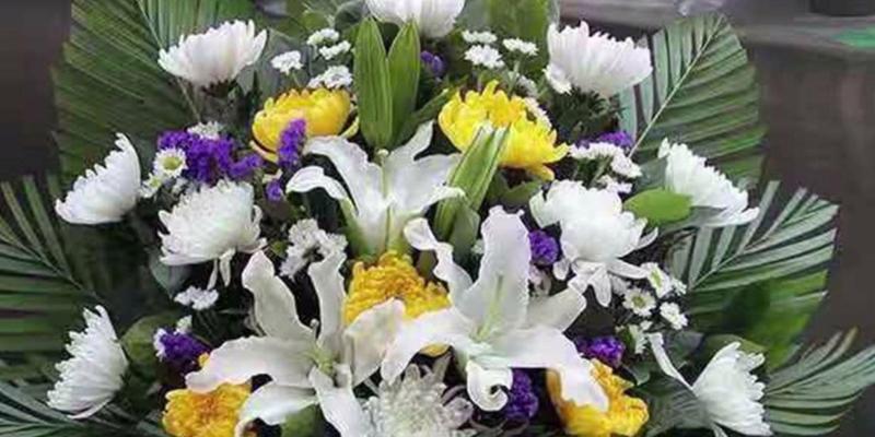 以什么花代表尊重——花语中的尊重之美（探索花卉文化中蕴含的尊重理念）