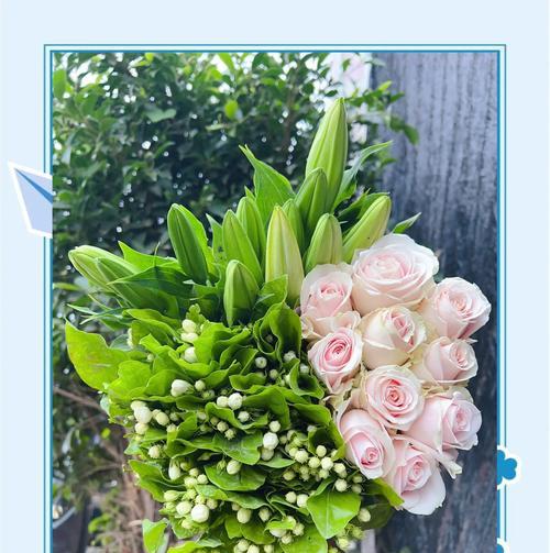 以什么花代表尊重——花语中的尊重之美（探索花卉文化中蕴含的尊重理念）