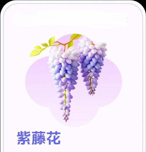 向你道歉的花语——以郁金香为主题的文章（以美丽的花朵传递我深深的歉意，向你道歉！）