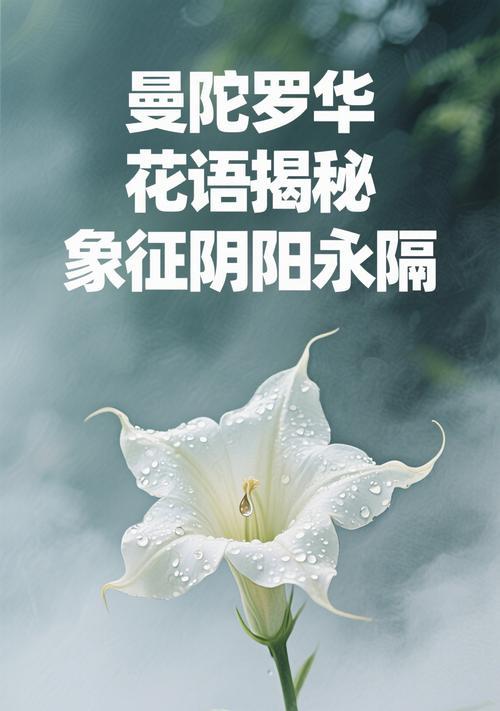 曼陀罗花的神秘花语（揭开曼陀罗花的花语传说）