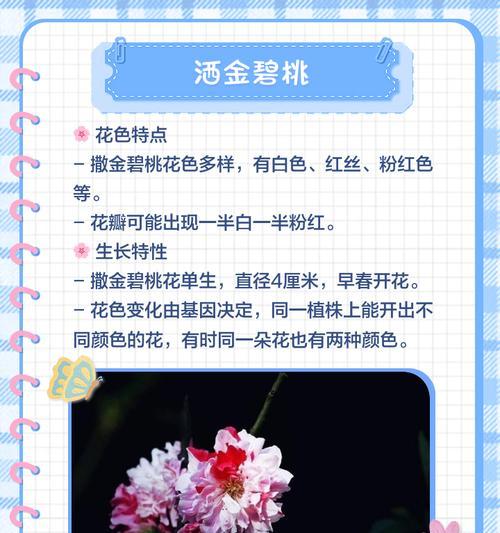 桃花之美（欣赏桃花的独特魅力）