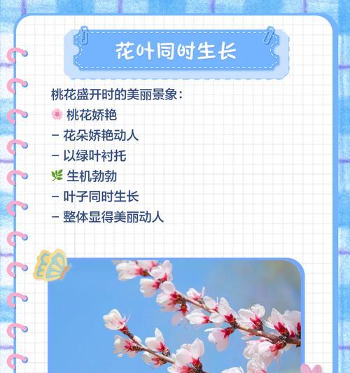 桃花之美（欣赏桃花的独特魅力）