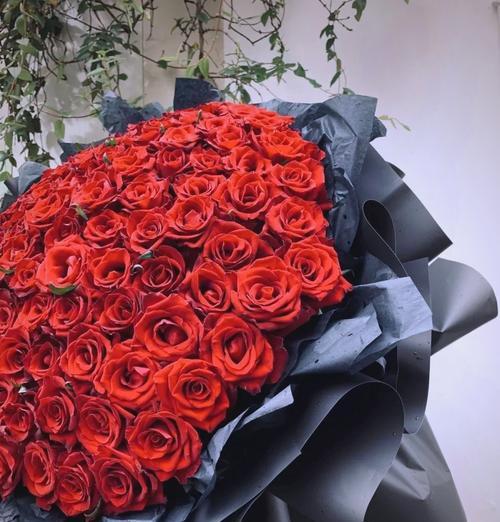 玫瑰花的花语与寓意（探索玫瑰花背后的象征与意义）