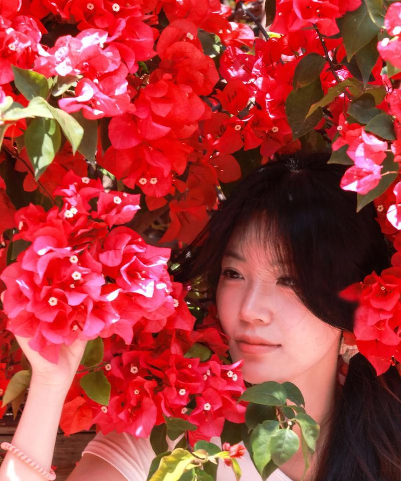 三角梅花语（探索三角梅花语的深刻意义及其应用领域）