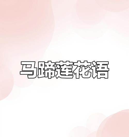 白色马蹄莲的花语（寓意纯洁和宁静的花朵）
