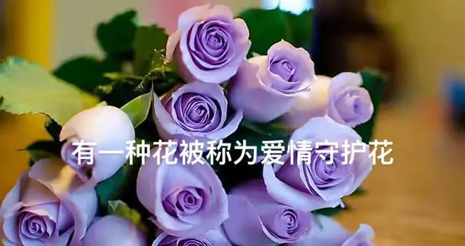 离别的爱情（百合花与离别的爱情，悲伤与希望的交织）