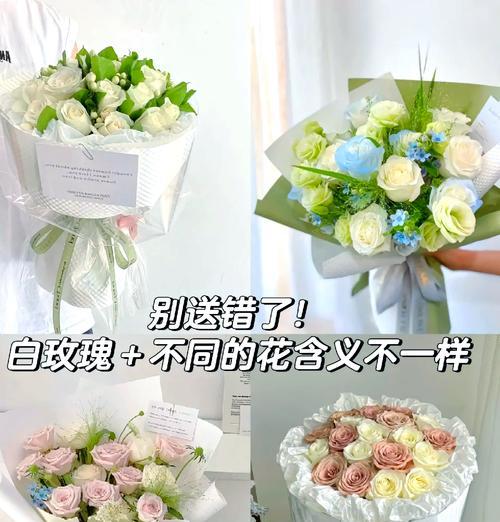 白玫瑰的代表寓意——纯洁与无私的爱（探索白玫瑰的花语与象征，了解白玫瑰传达的情感和价值）