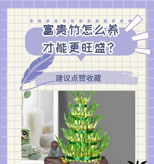 富贵竹（探索富贵竹所象征的吉祥寓意与文化意义）