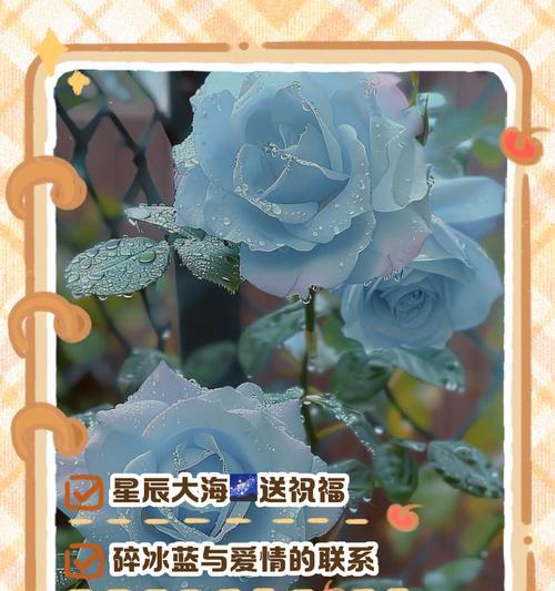 碎冰蓝，流动的诗意（十一朵花开，点亮心灵的温暖与希望）