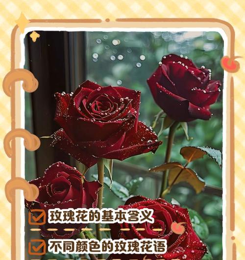 白玫瑰花的深刻寓意（纯洁、真爱与无言的情感）