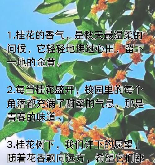 月桂花的花语（以月桂花的花语探寻胜利与荣誉的含义）