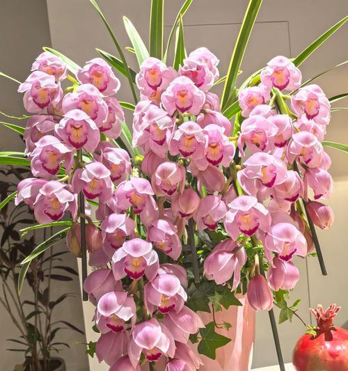 探寻兰花的花语之美（一朵花的情感语言和内涵）