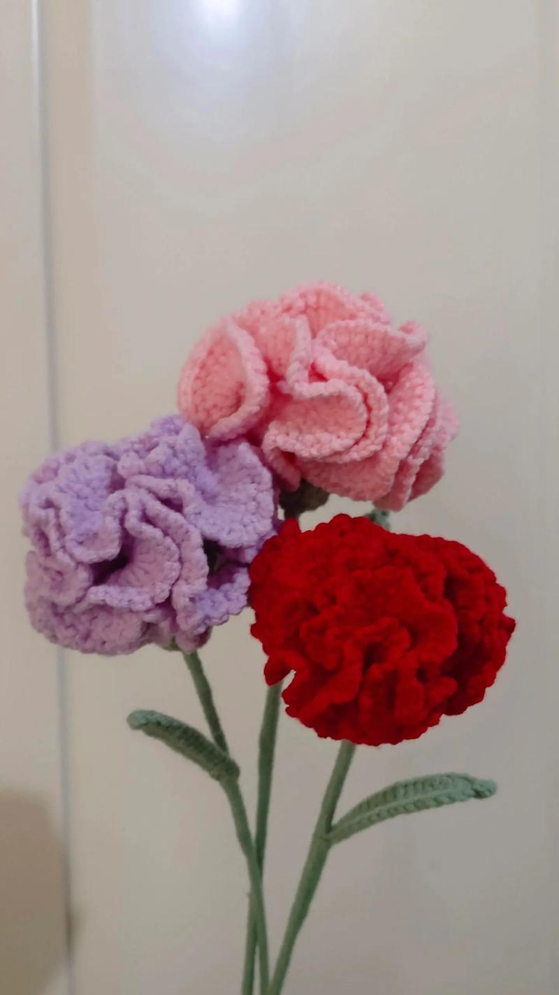 康乃馨的花语之不同颜色所代表的意义（用康乃馨的颜色解读爱情、友谊和祝福）