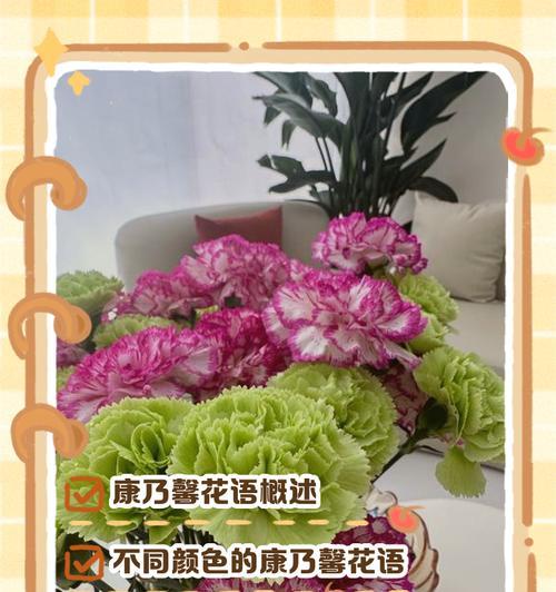 康乃馨的花语之不同颜色所代表的意义（用康乃馨的颜色解读爱情、友谊和祝福）