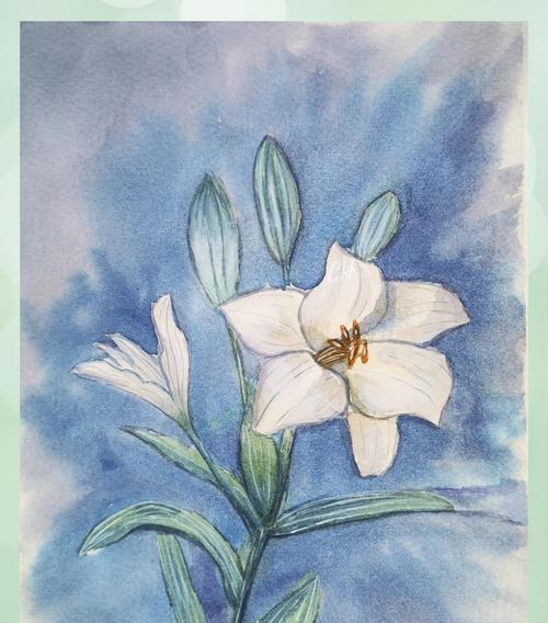花语探秘（探秘花语，解读心声；只言片语，传情真意）
