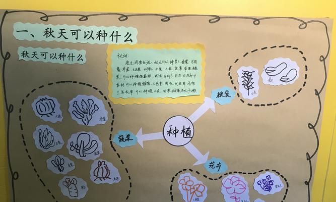 贝贝瓜种植的最佳时间是什么时候？如何进行有效管理？
