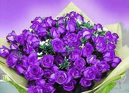 浪漫之花（探寻花卉世界中的浪漫与爱情）