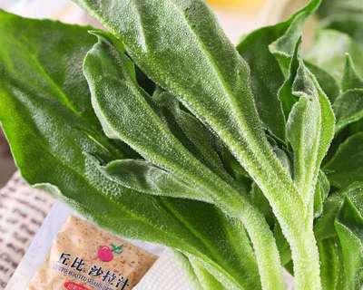 菜花可以生吃吗？生吃菜花的正确方法和注意事项是什么？