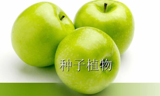 玉米属于裸子植物吗?玉米的分类和特点是什么? 玉米属于裸子植物吗?玉米的分类和特点是什么?