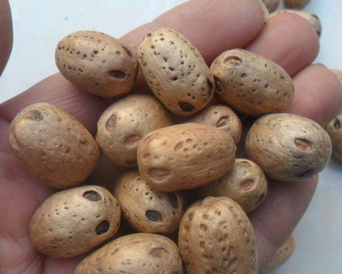 五眼果的功效与作用是什么？如何正确食用五眼果？