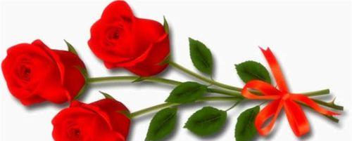 友谊之花（传递真挚情谊的鲜花礼物）