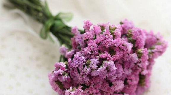 勿忘我花语之美丽的记忆（以勿忘我花语传递爱与思念）