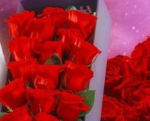 代表七宗罪的花是什么？每种花代表的罪恶有哪些？