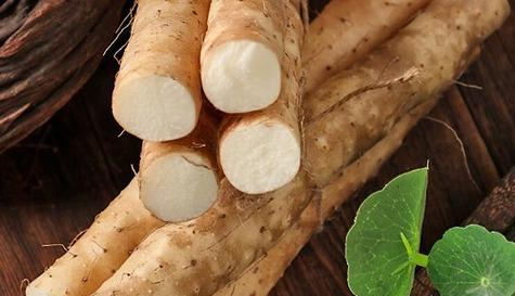 山药是多年生植物还是年生植物？如何区分山药的生长周期？