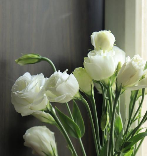 绿色洋桔梗的花语和寓意（探索绿色洋桔梗的深意）