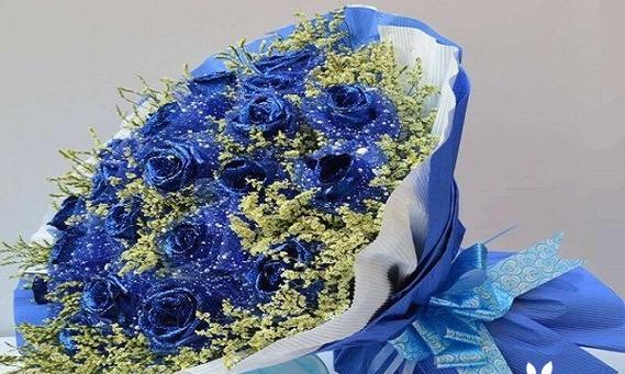 蓝色妖姬的寓意与象征意义（以蓝色妖姬探索内心的情感世界）