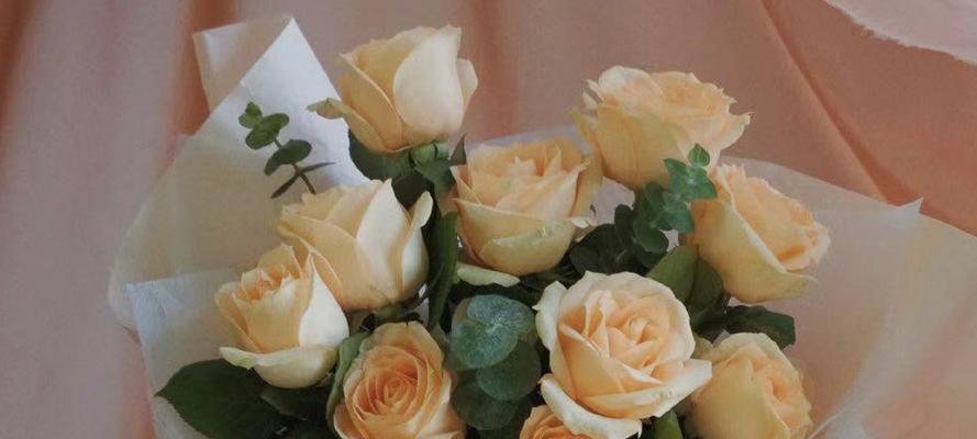 香槟色玫瑰的花语与寓意（探索香槟色玫瑰背后的情感象征）