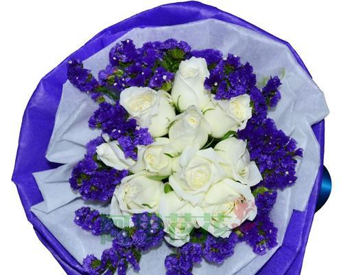 白色玫瑰花的花语（寓意纯洁）