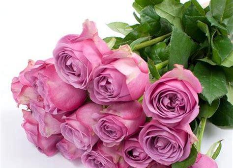 铁海棠——花开寂寞，花落温柔（铁海棠的花语与寓意）