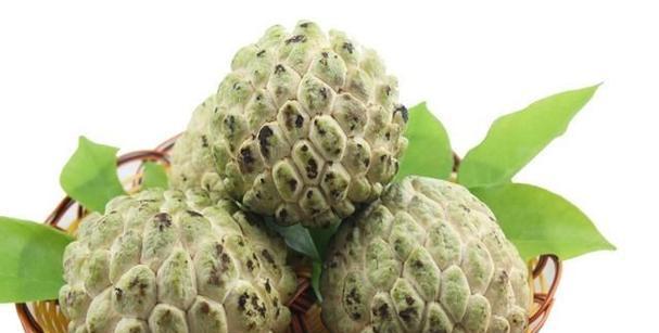 释迦果籽能种植吗？种植后多久能结果？