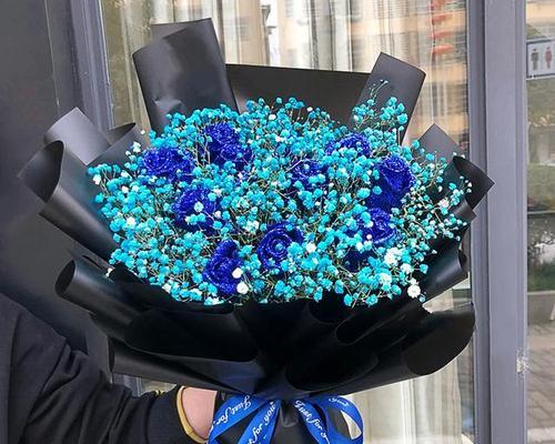 玫瑰的花语（探究玫瑰的数量所代表的不同花语）