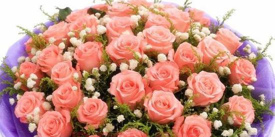 玫瑰花的寓意及送多少朵的含义（解读玫瑰花的不同朵数所代表的情感和意义）