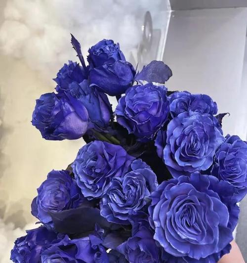蓝玫瑰的花语与意义（解读蓝玫瑰的浪漫与神秘）