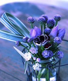 蓝色雏菊的花语与寓意（探寻蓝色雏菊的象征意义和情感传达）