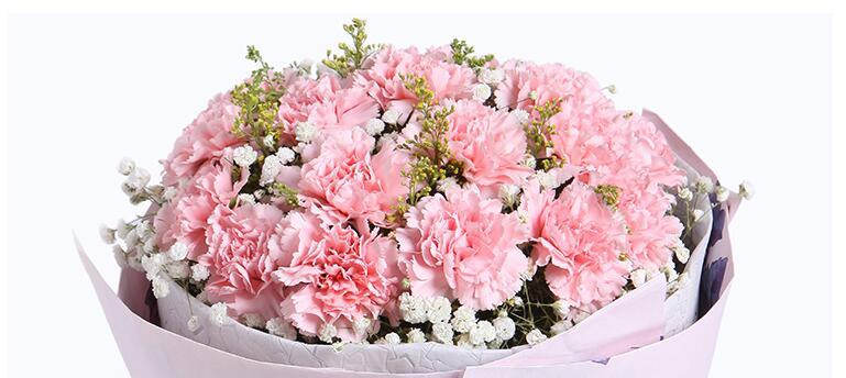 康乃馨花语的含义与传承（探寻康乃馨花语的深层意义）