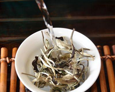 老树白茶属于什么茶？它与其他白茶有何不同？