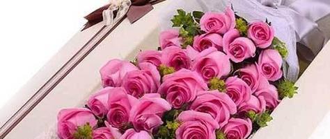 玫瑰花的深层含义（用不同种类的玫瑰花传达不同的情感与意义）