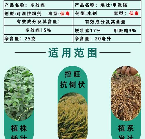 大豆打什么农药好？防治病虫害的正确选择是什么？