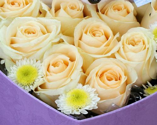 19朵香槟色玫瑰的花语（探索19朵香槟色玫瑰所传递的深刻情感和美好祝愿）