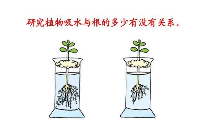 螺纹铁叶子卷曲了怎么办？如何补救处理？