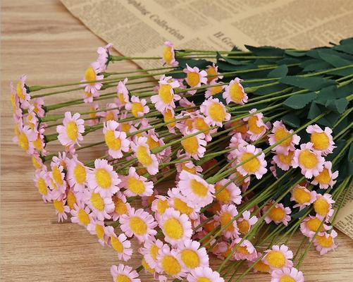 小雏菊的美丽与寓意（一朵小雏菊的力量与意义）