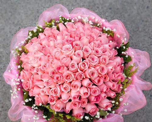 18朵玫瑰花的寓意与象征——探索花语背后的含义（解读18朵玫瑰花的深层意义）