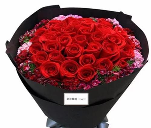 红玫瑰花语的深刻含义（16朵红玫瑰代表的浪漫与热情）