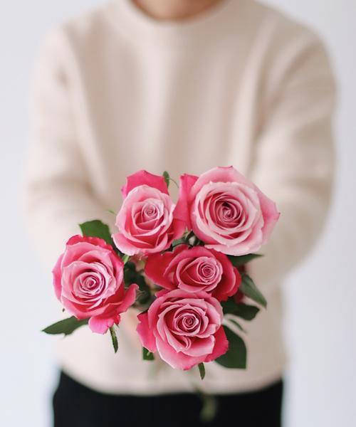 粉色玫瑰的花语（柔美温馨）