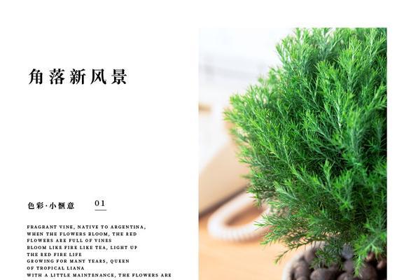 雾松的养殖技巧（打造旺盛成长的雾松园）